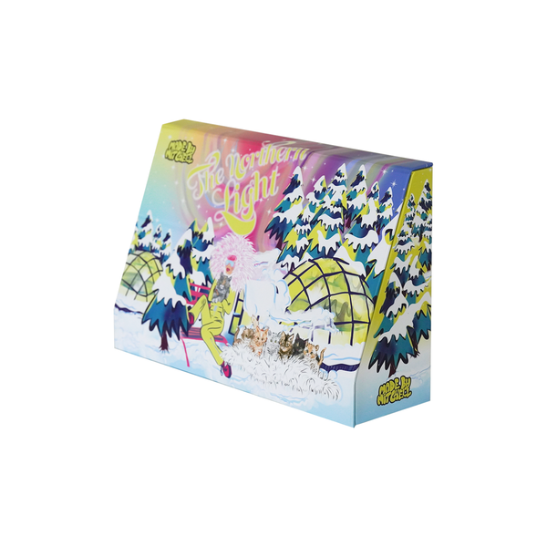 Northern Light Brush Set