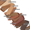 Blursh Book Pressed Bronzer & Blusher Palettes