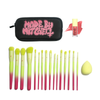 16 Piece Ombre Brush Set with Matching Blursh Blusher and Beauty Blender