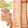 Tan ( FREE BRUSH )