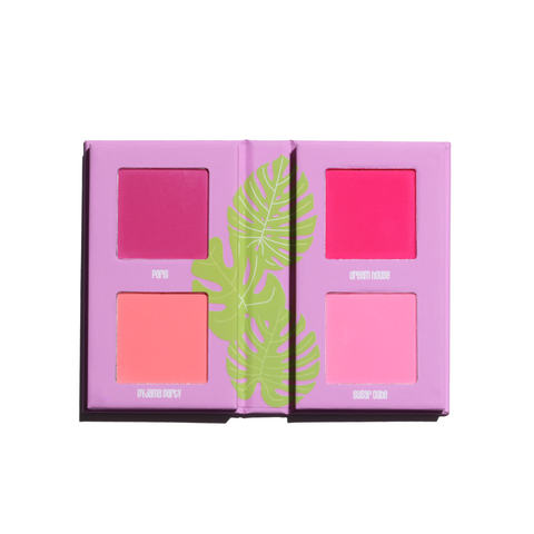 Mini Blursh Book - Living In Pink