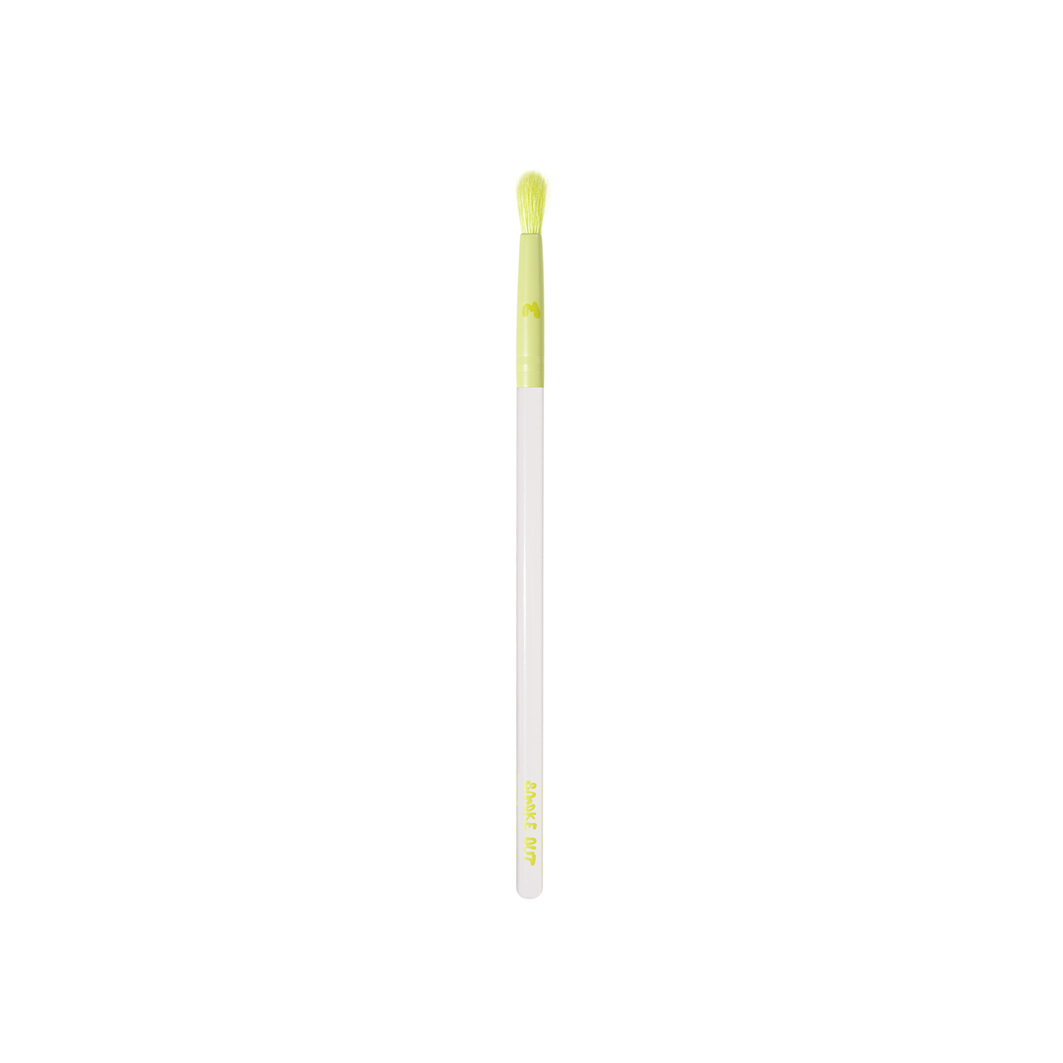 Pro Face & Eye Brush Collection