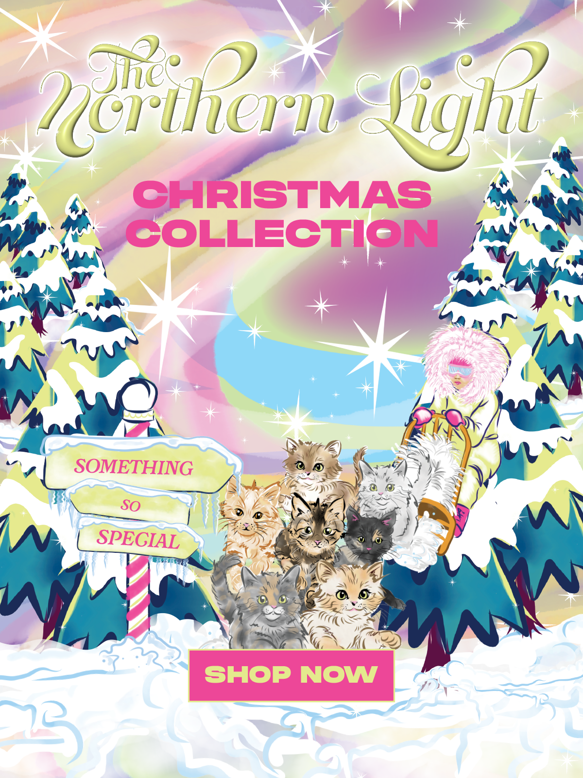 /fr/collections/black-friday