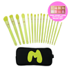 16 Piece Makeup Brush Set & Brush Pouch with a free Comet Case Highlighter Palette