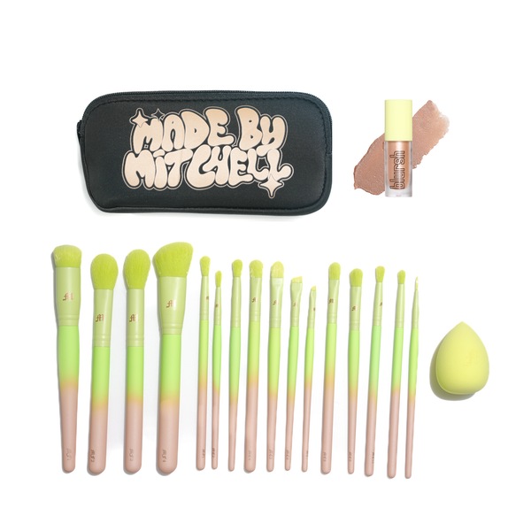 16 Piece Ombre Brush Set with Matching Blursh Blusher and Beauty Blender