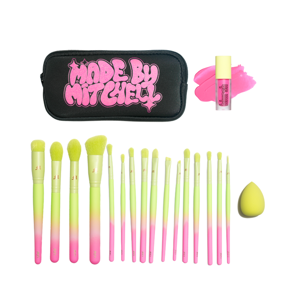 16 Piece Ombre Brush Set with Matching Blursh Blusher and Beauty Blender