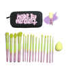 16 Piece Ombre Brush Set with Matching Blursh Blusher and Beauty Blender