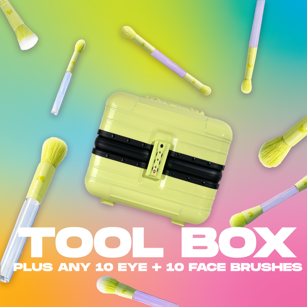 20 Piece Pro Brush Bundle & Tool Box