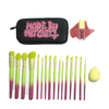 16 Piece Ombre Brush Set with Matching Blursh Blusher and Beauty Blender