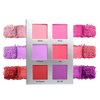 Blursh Book Pressed Blusher Palettes