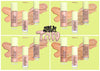 Complexion Face Bundles